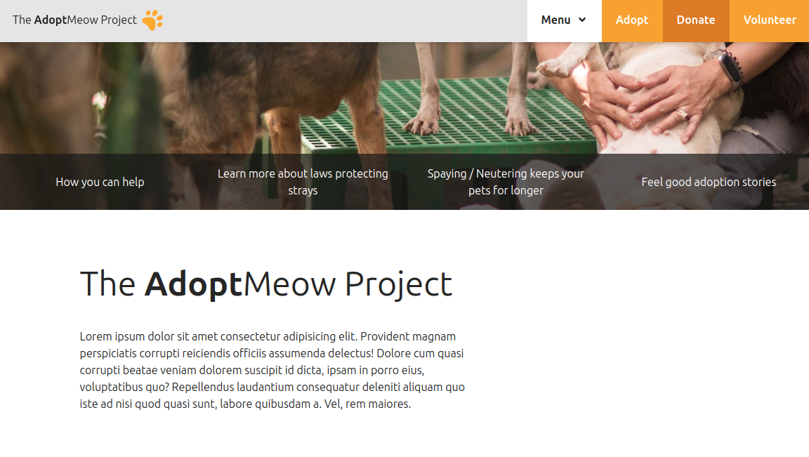 The AdoptMeow Project